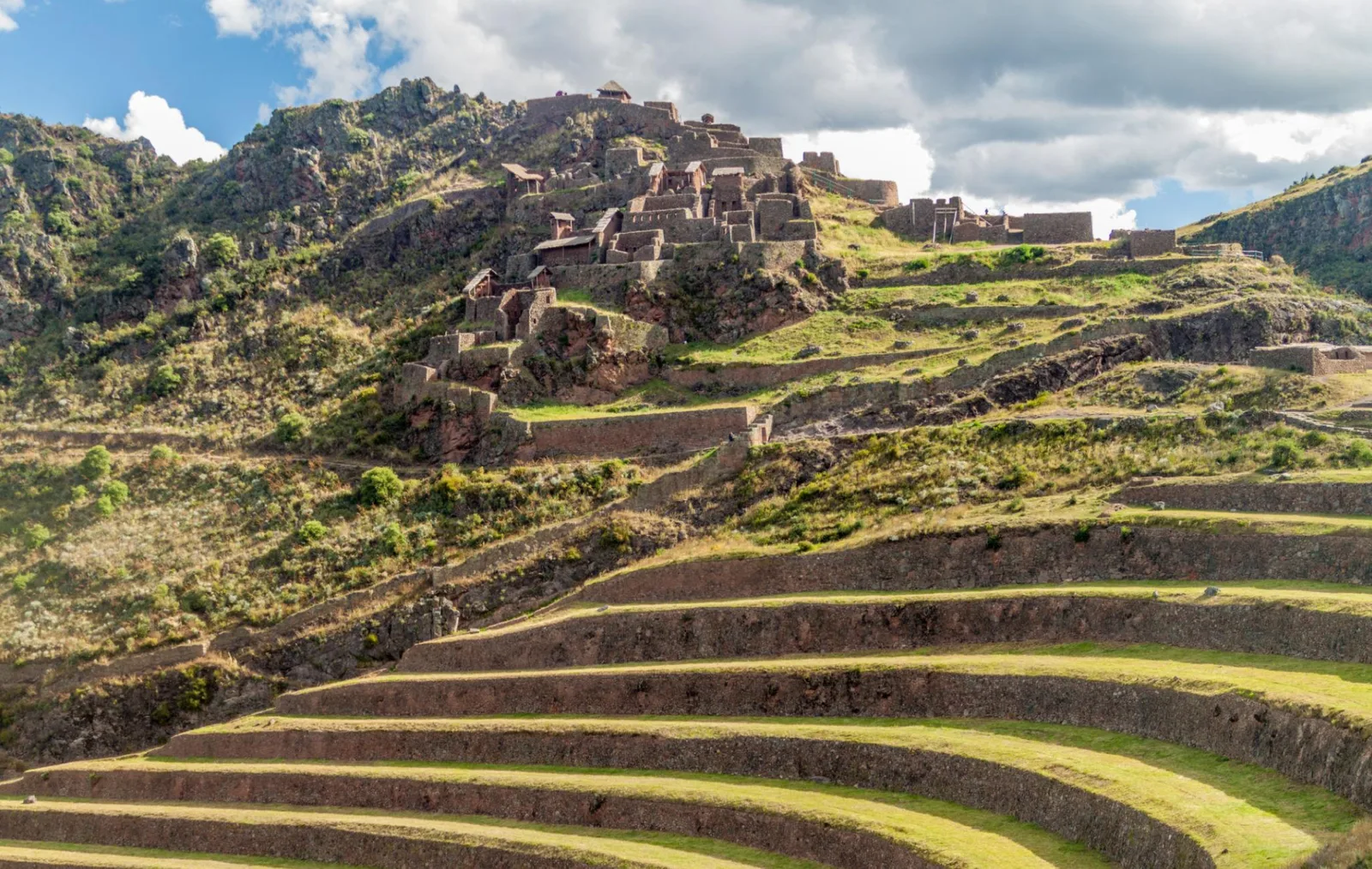 Terrasses agricoles incas en gradins, avec vestiges d'habitat en hauteur, dans les Andes péruviennes